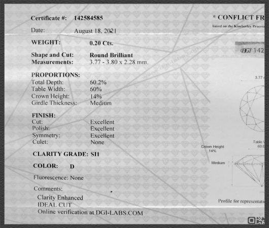 Brillant 585 Gold Stecker 0,40ct, DGI Zertifikat